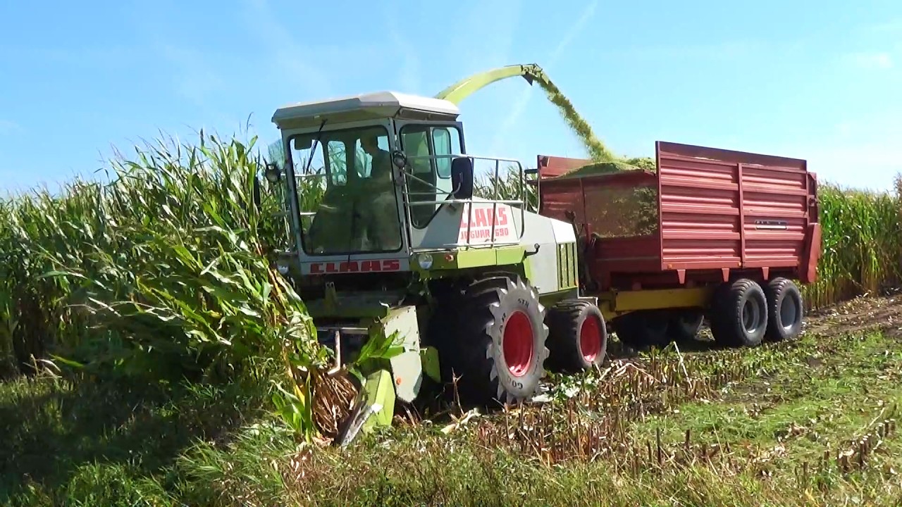 2025 Mengerink chopping corn