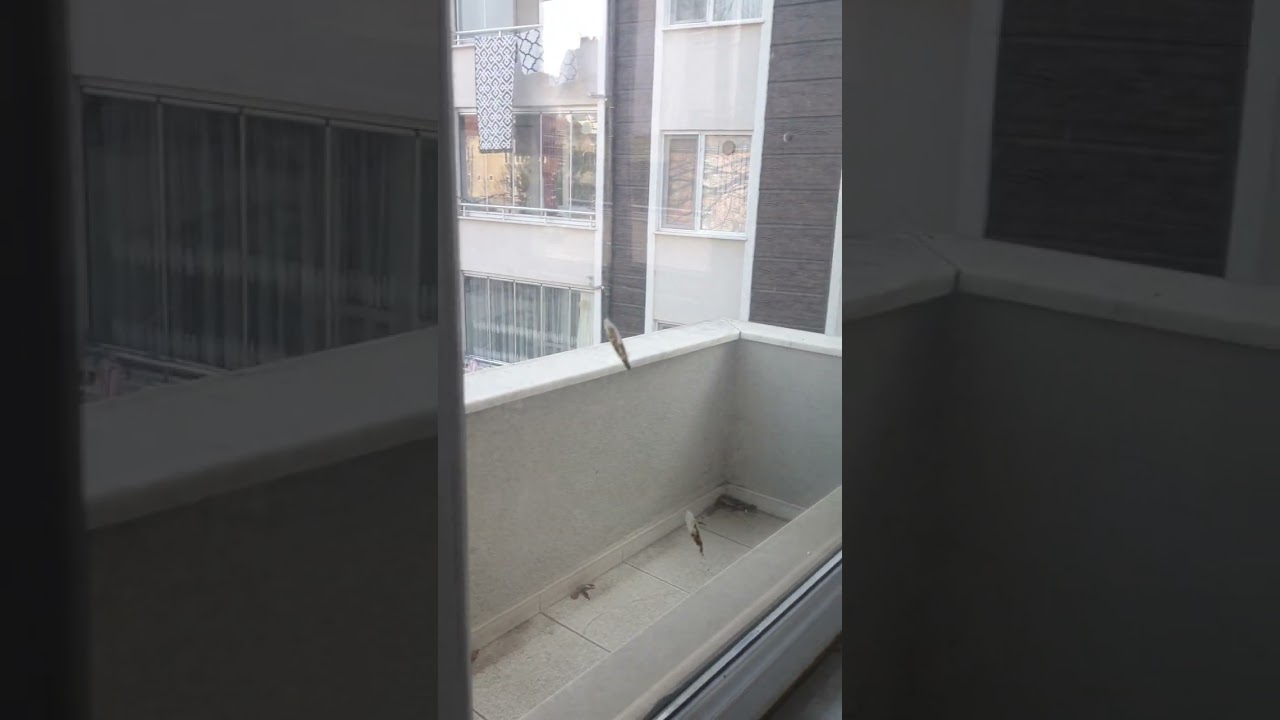 SAKARYA HENDEK MERKEZDE SATILIK 2+1DAIRE 1750BIN
