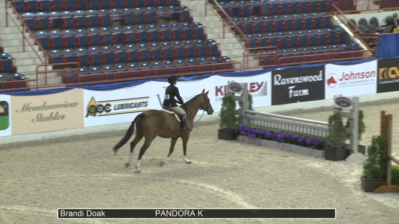 49 PANDORA K Brandi Doak, Class 1 Adult Amateur 18 35 OF