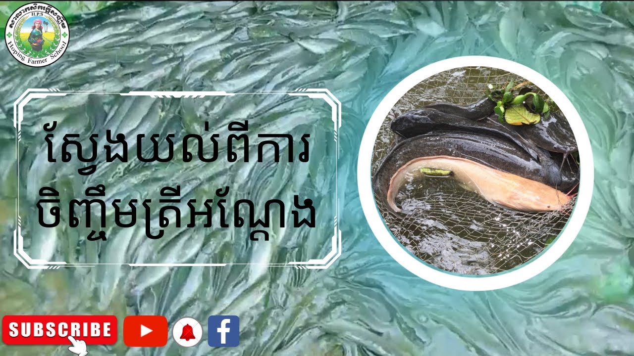 នាទីកសិកម្ម/ការចិញ្ចឹមត្រីអណ្តែង
