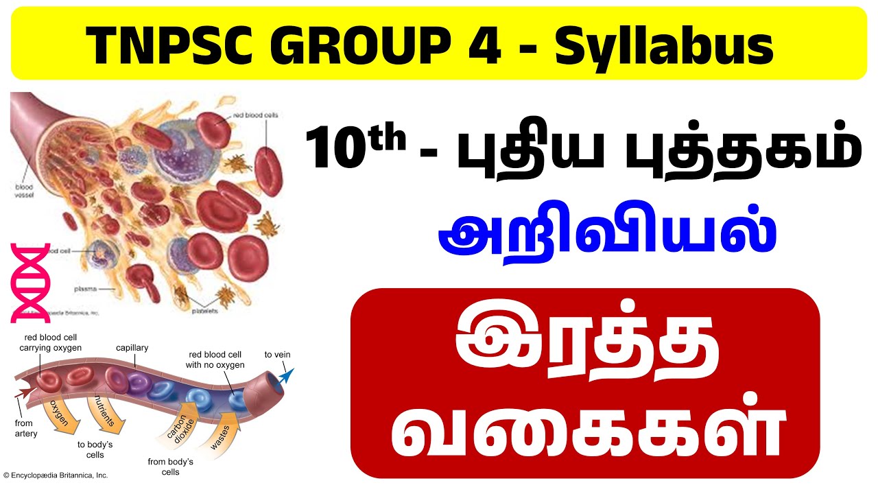 இரத்த வகைகள் | tnpsc group 4 preparation in tamil | tnpsc group 4 syllabus 2024 in tamil