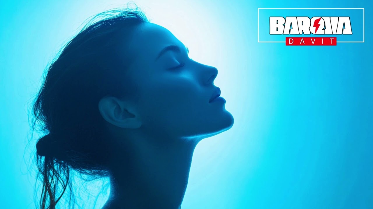 Davit Barqaia - Never Lose (Original mix)