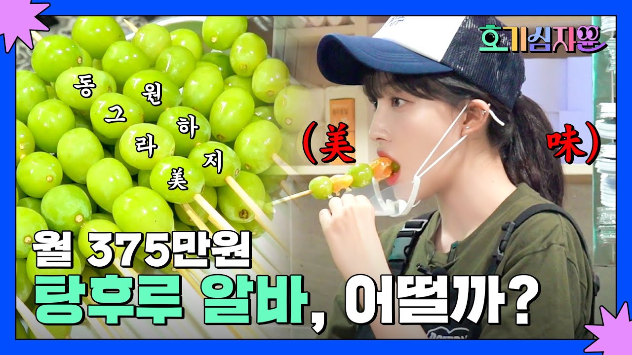 호기심 10. 월 375만원 탕후루 알바, 어떨까? | 호기심자윤💡 EP.10 (시즌 1 마지막회)