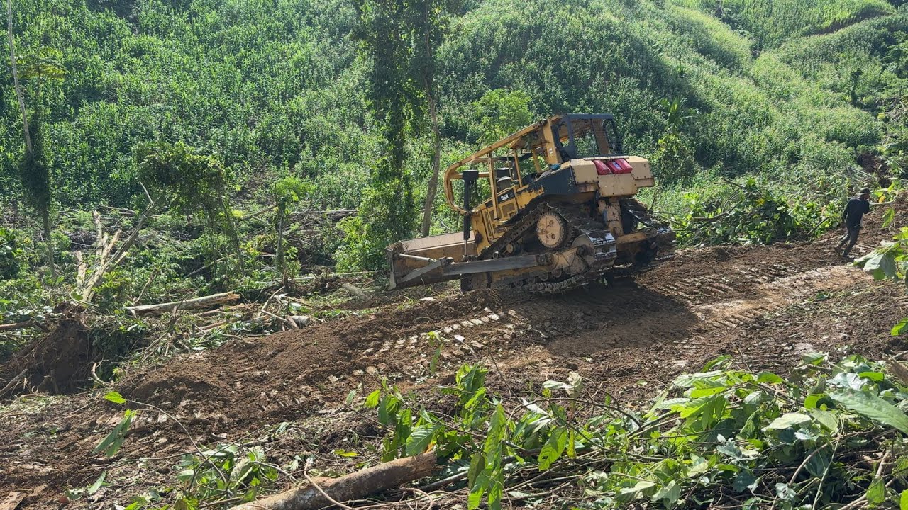 Optimizing Plantation Development With the D6R XL Bulldozer for Land Clearing and Terrace Buildings