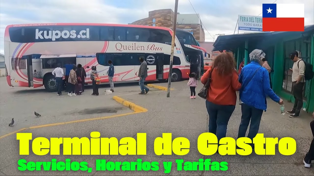 Recorriendo el Terminal Municipal de Castro, Chiloé 🇨🇱