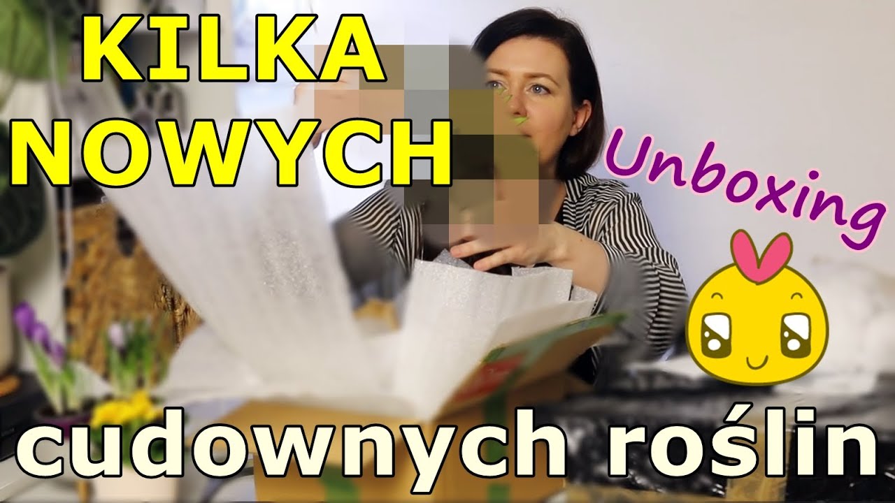 💥💚 Nowe ROŚLINY 💚 nowa MIŁOŚĆ do.... 😍 #planthaul hoya philodendron 🌷 WIOSENNY  UNBOXING 💥💥💥