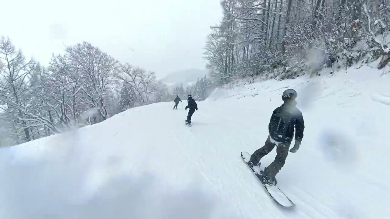 Nozawa Dec 2025