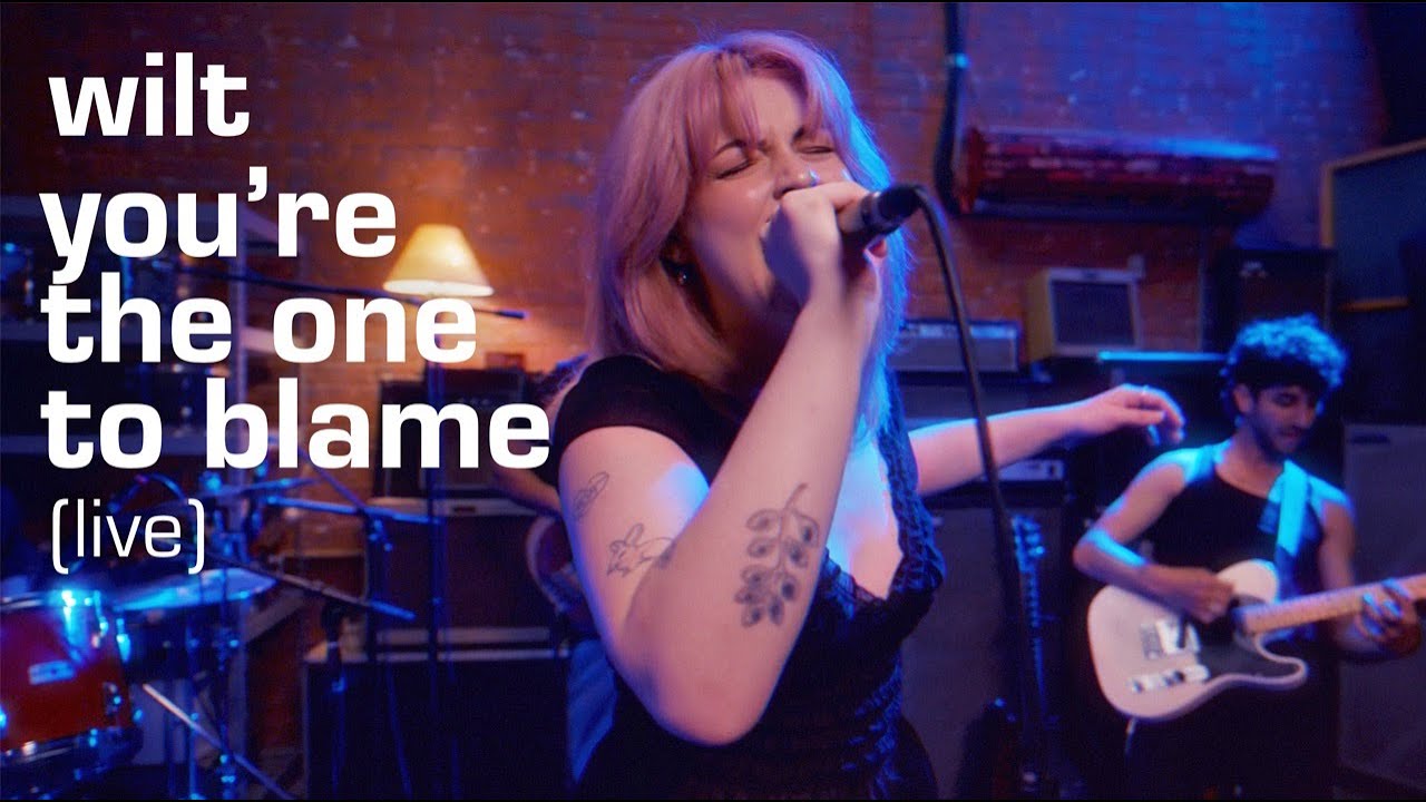 wilt - you're the one to blame (live)