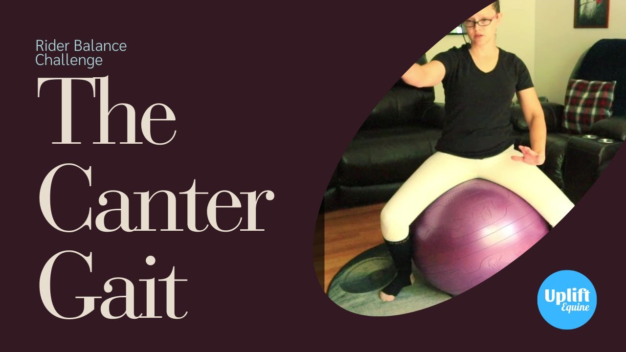 Canter | Balance Ball Fitness | Equestrian Fitness