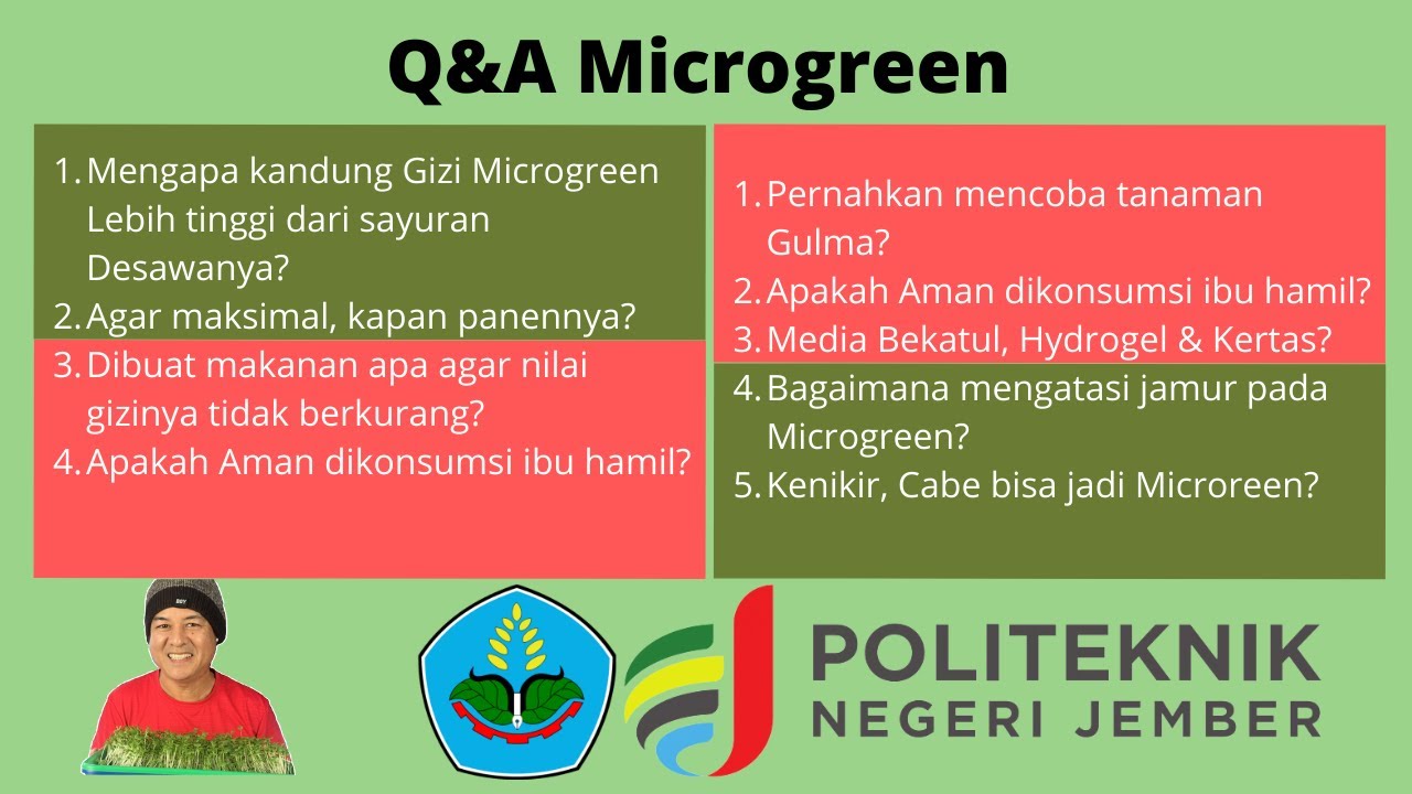 Q&A 3 Kumpulan Pertanyaan seputar Microgreen - Politeknik Negeri Jember