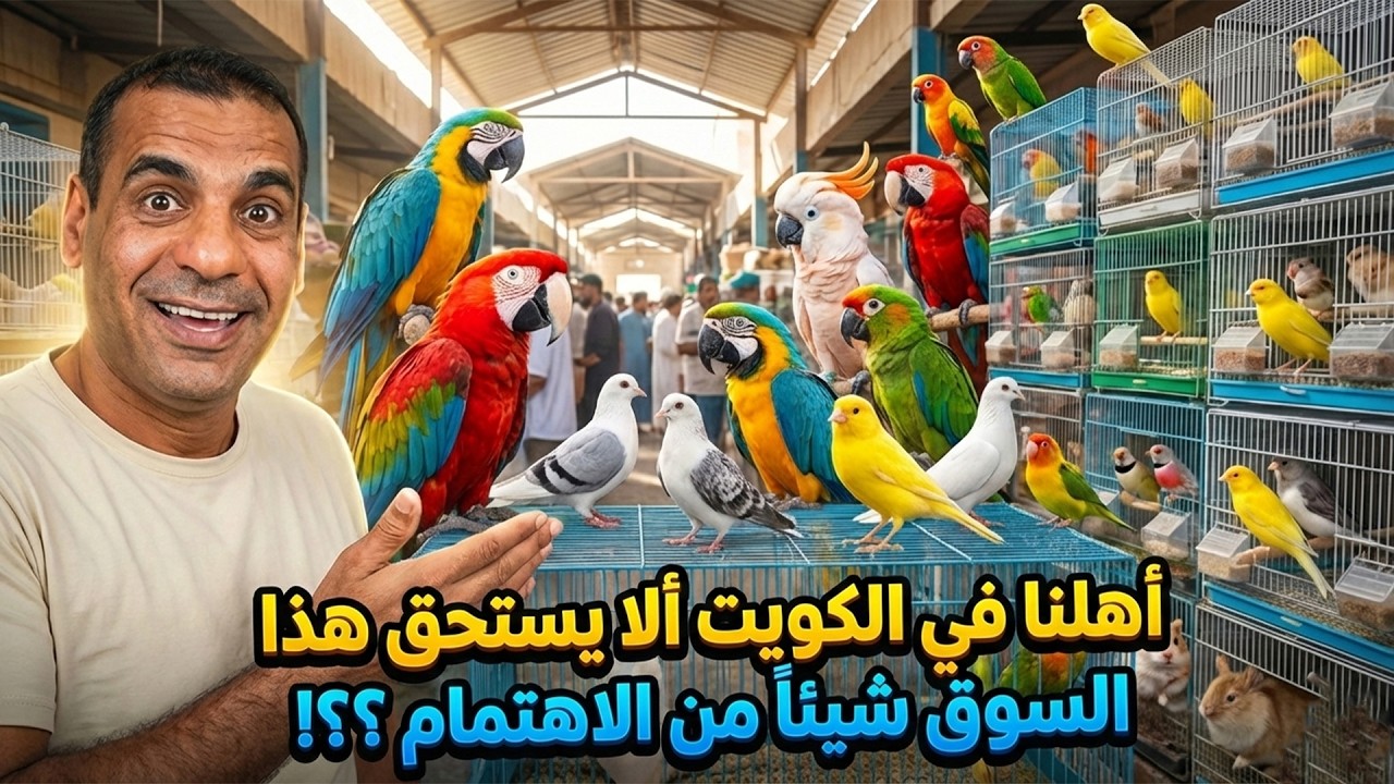 سوق الطيور في الكويت 🇰🇼🐦 | أضخم تشكيلة ولقطات حصرية داخل السوق