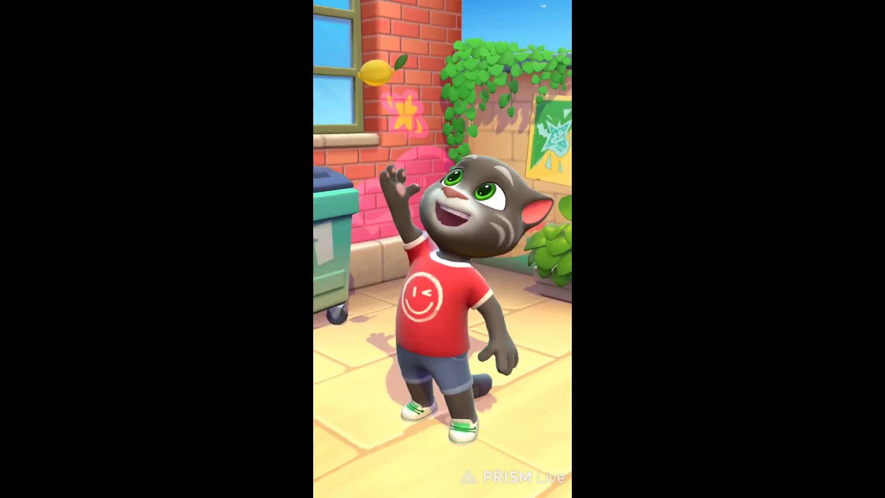 🎮 Taking Tom Live! – Join the Fun & Excitement! 🚀 #prismlive #TakingTomLive #Livestream