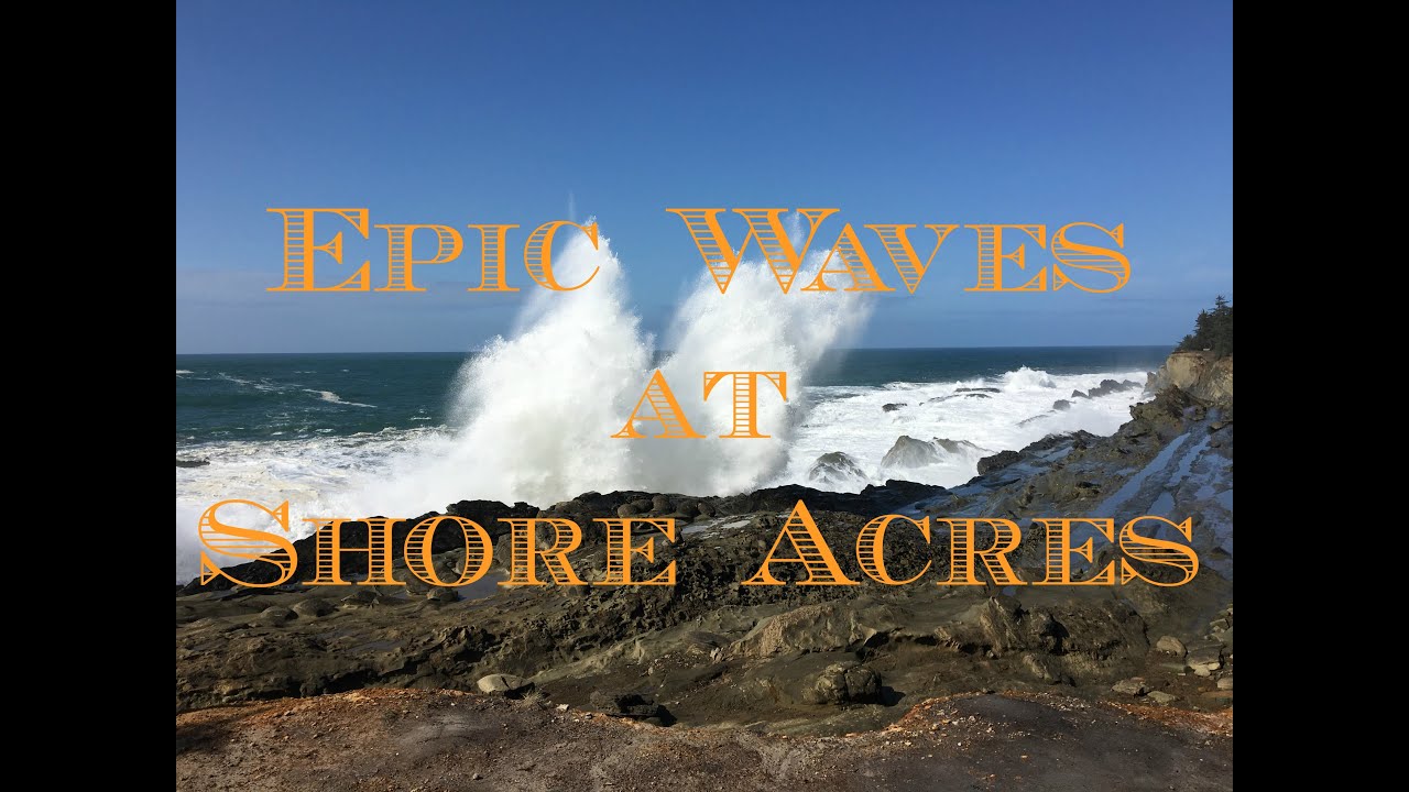 MASSIVE WAVE STRIKES | Shore Acres State Park