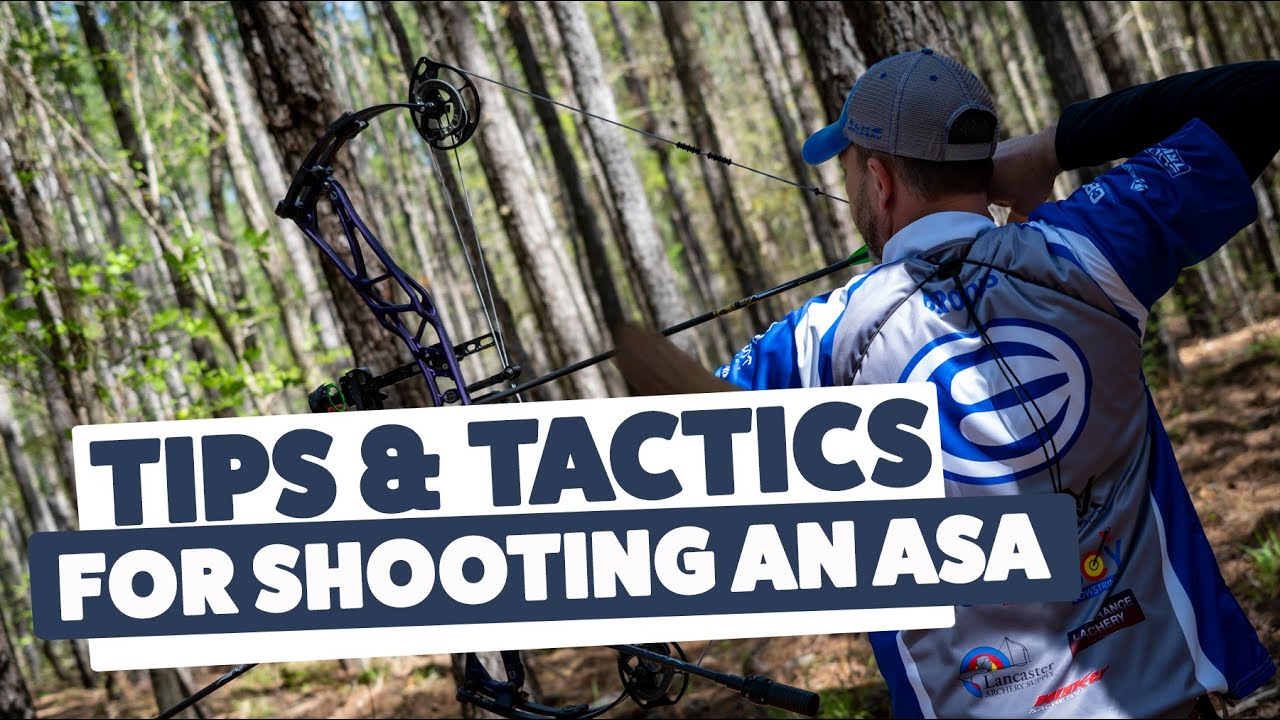 Tips & Tactics For Shooting An ASA 3D Tournament