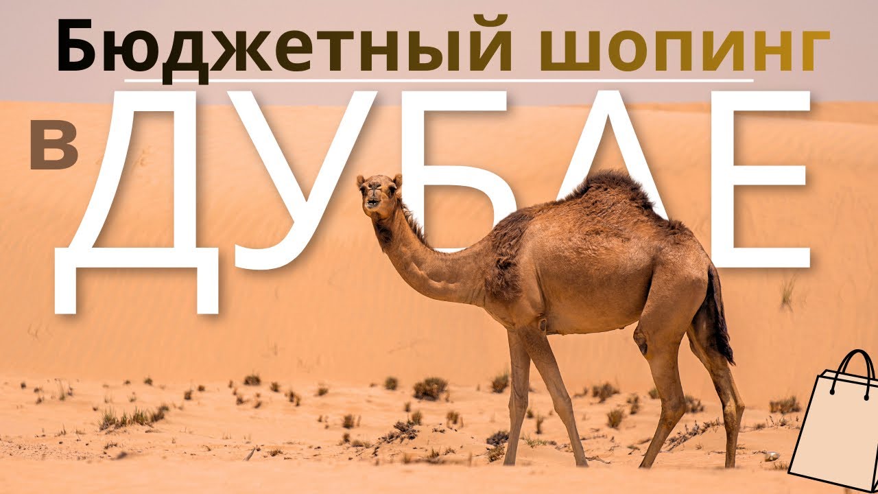 ТОП бюджетный МАГАЗИНОВ ДУБАЯ, о которых Вы точно не знали! Шопинг без переплат в Дубае