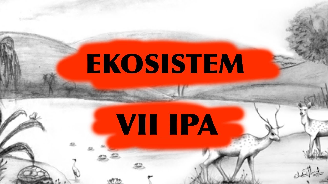 Ekosistem | Materi SMP Kelas VII IPA