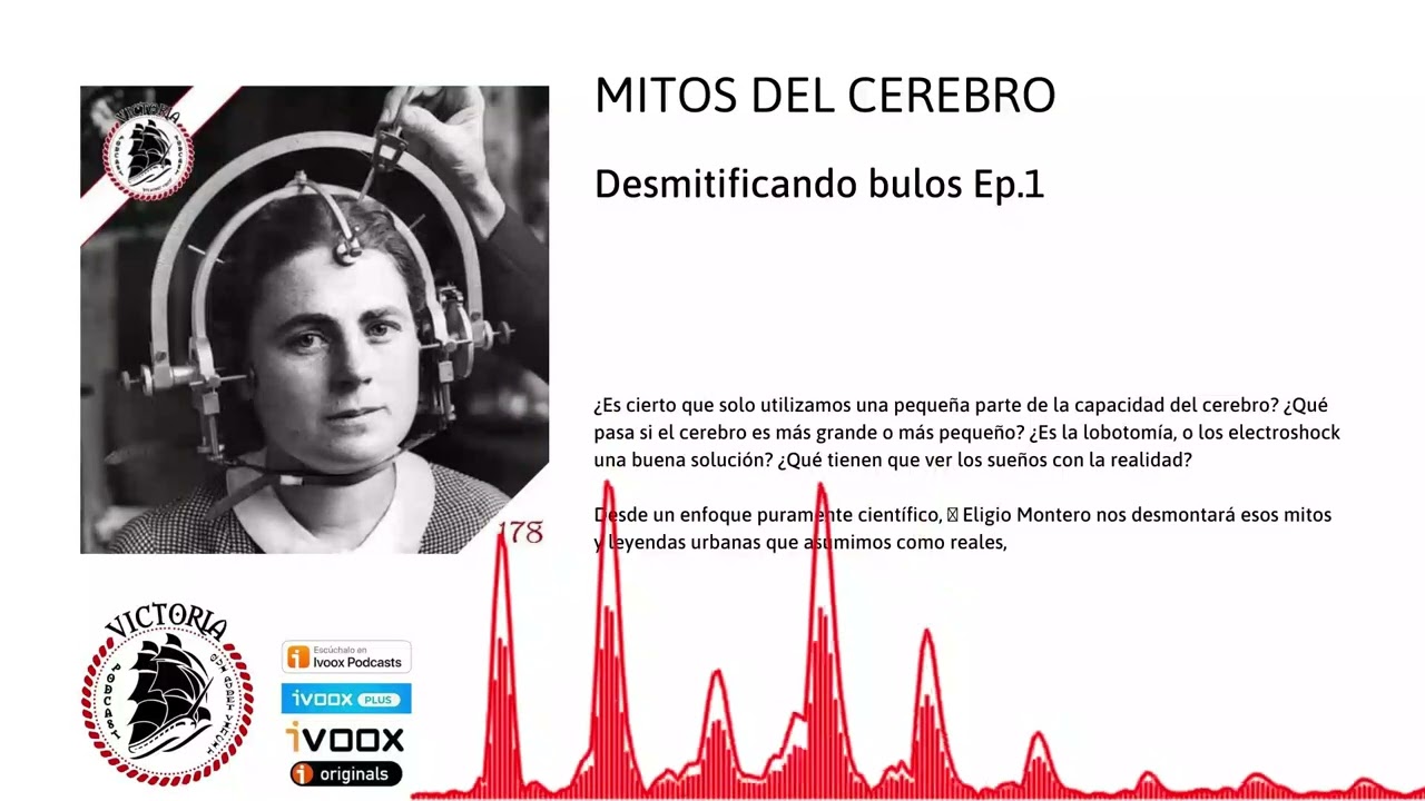 🧠 MITOS DEL CEREBRO 1/3