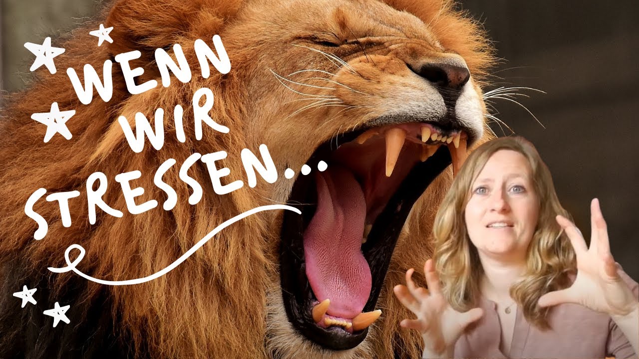 Wenn wir stressen - Physiologie der Stressreaktion - Mit Afrika-Beispiel