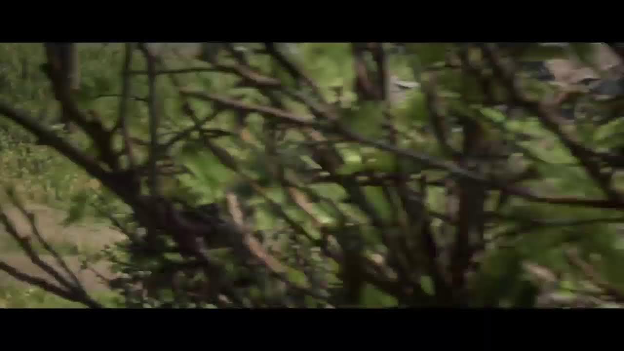 RDR2 - Story - Camp Requests/Missions CH 3-4