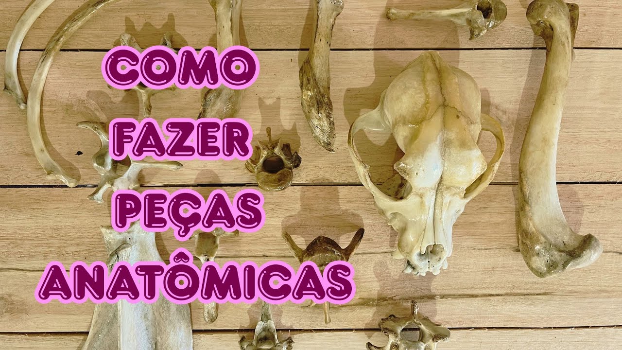 COMO LIMPAR OSSOS