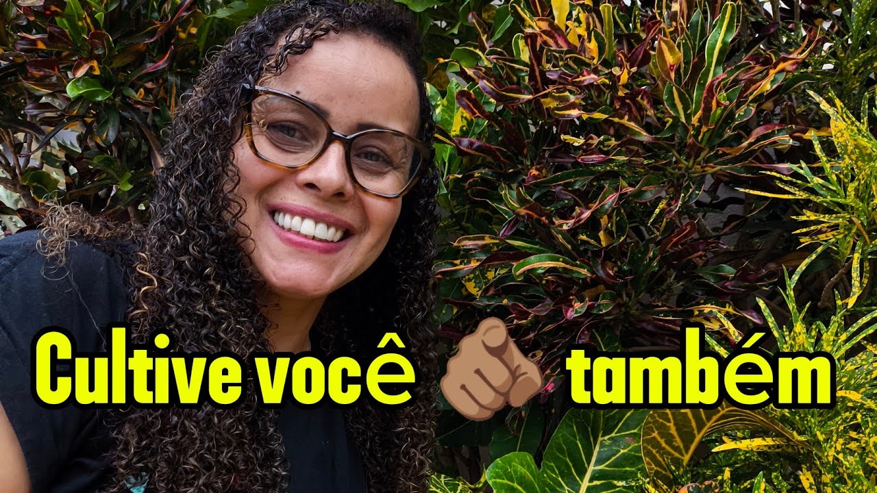 Vamos conhecer 5 Plantas para iniciantes! Elas são muito fáceis de cultivar e muito lindas as!🤌🏽✨