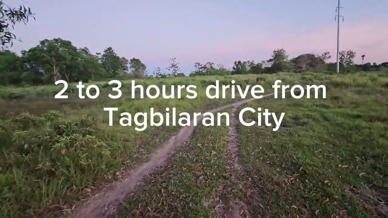 48,074 sqm clean title for sale in Ubay Bohol Philippines 200/sqm negotiable