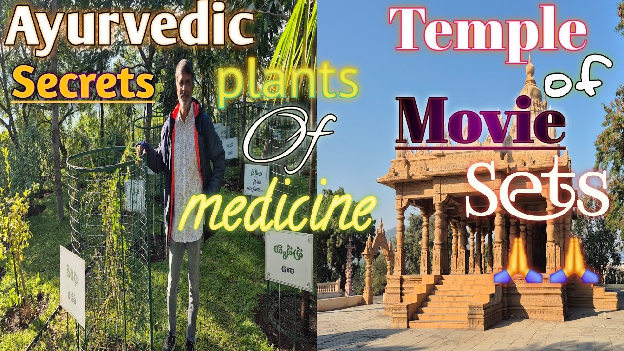 Ayurvedic Secrets plants Of medicine Temple Of Movie Sets🙏🙏