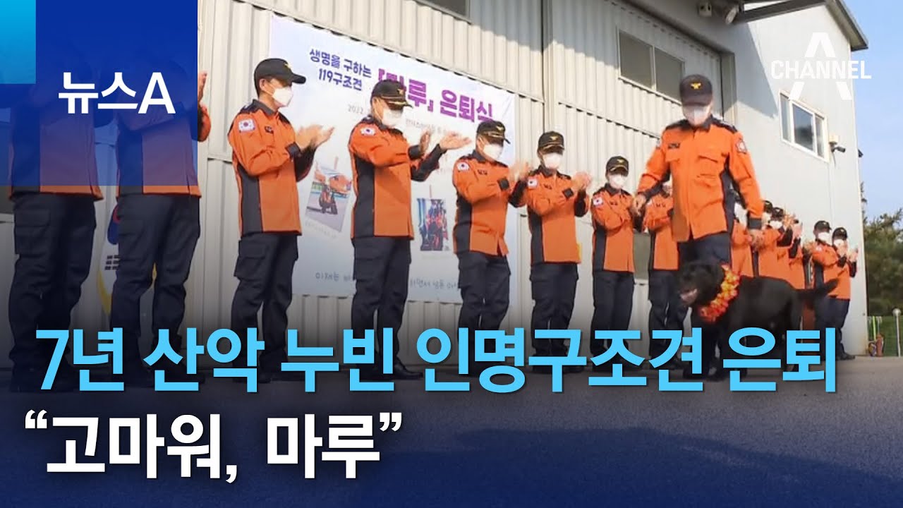 7년 산악 누빈 인명구조견 은퇴&hellip;&ldquo;고마워, 마루&rdquo; | 뉴스A