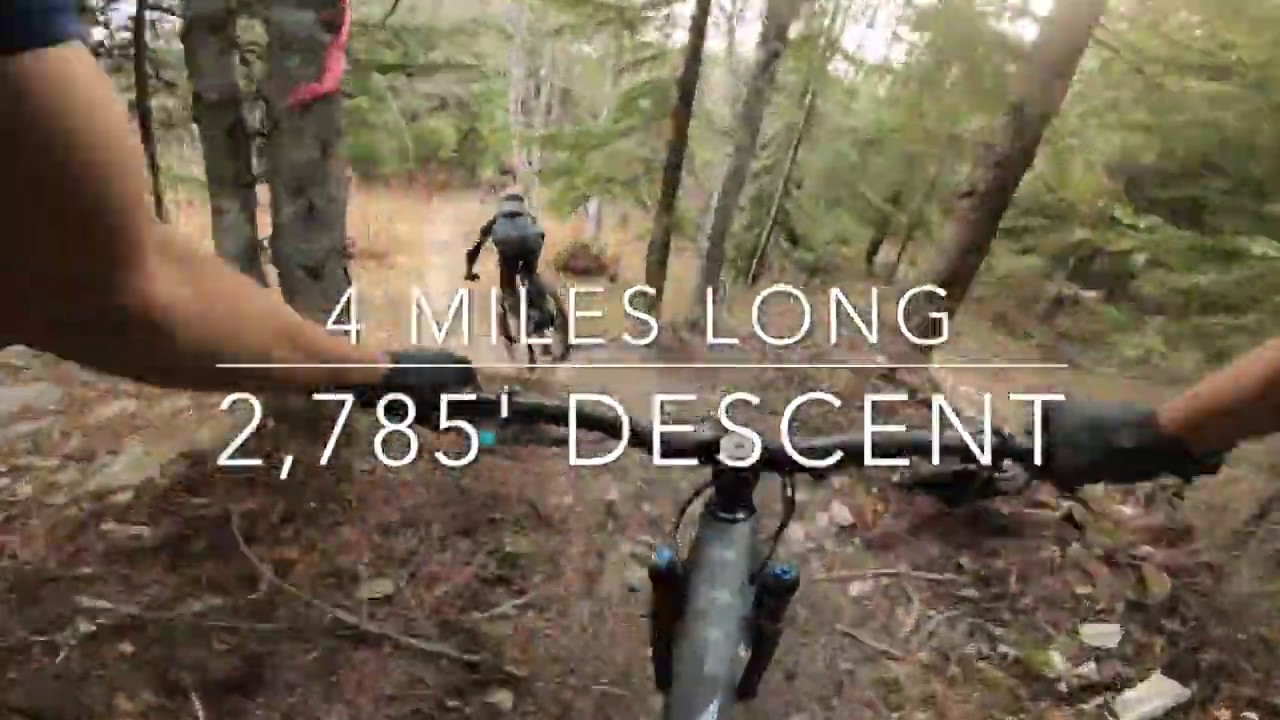 Out of the Blue Downhill Mountain Bike Trail POV in Darrington, WA. Single Black Diamond