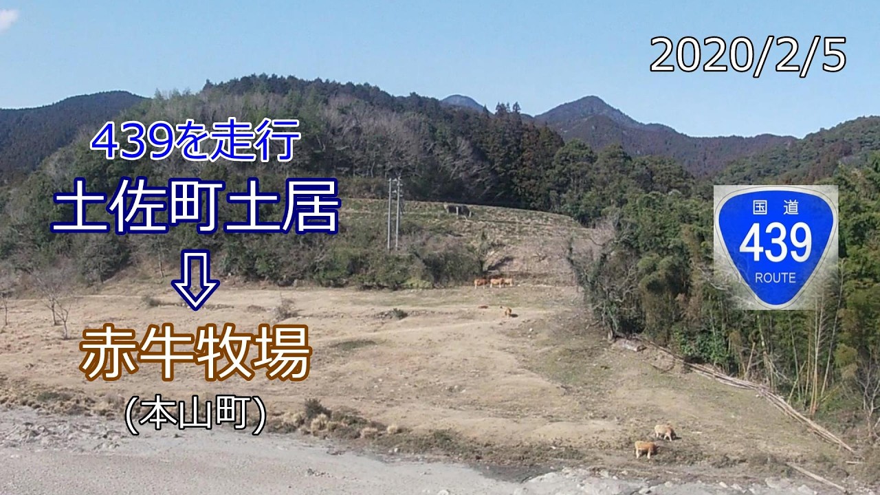 国道439号線【土佐町土居～赤牛牧場】ドライブ動画 #パワーディレクター 無料版