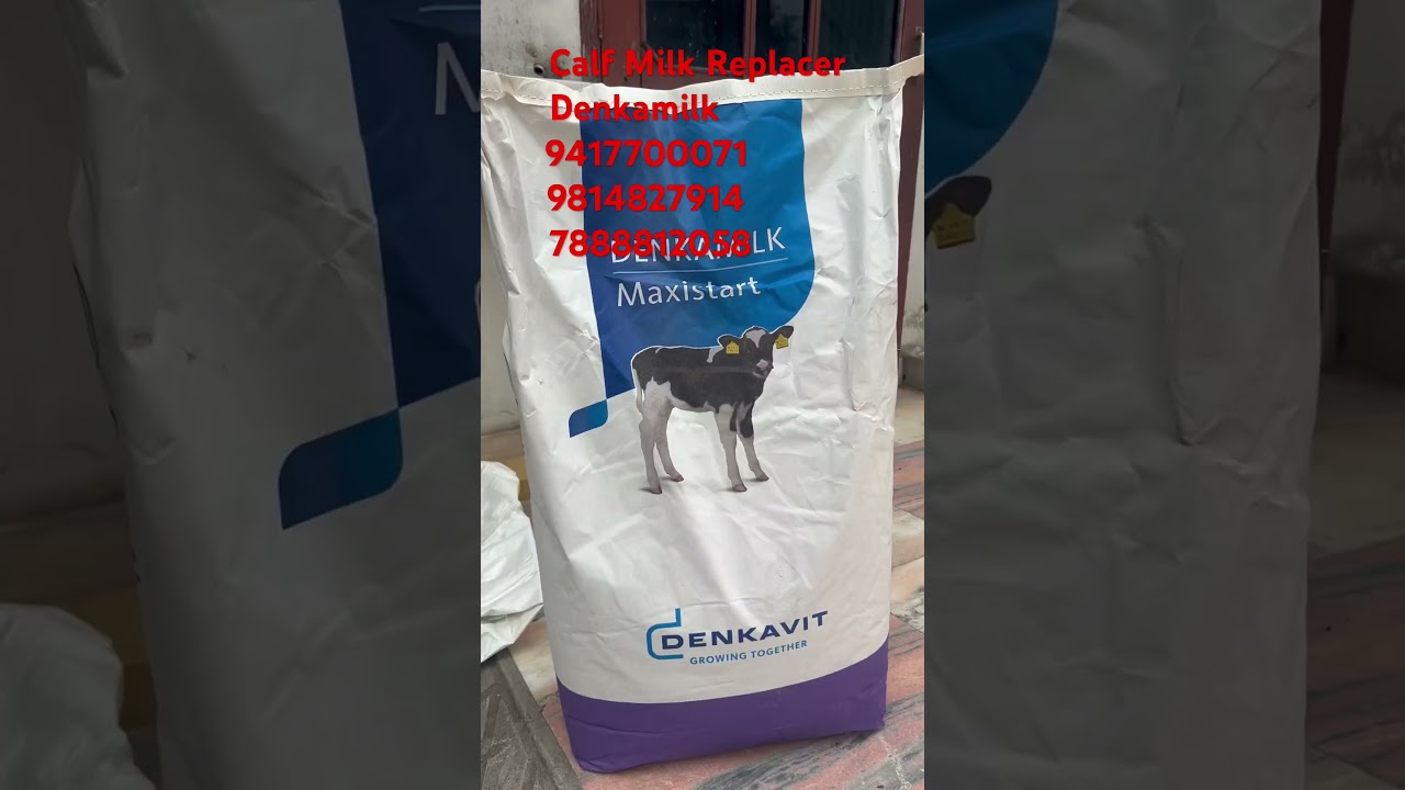 Calf milk replacer #Denkavit#bestfarming #calfgrowth #calfmangment#farm #bestfeed #crv