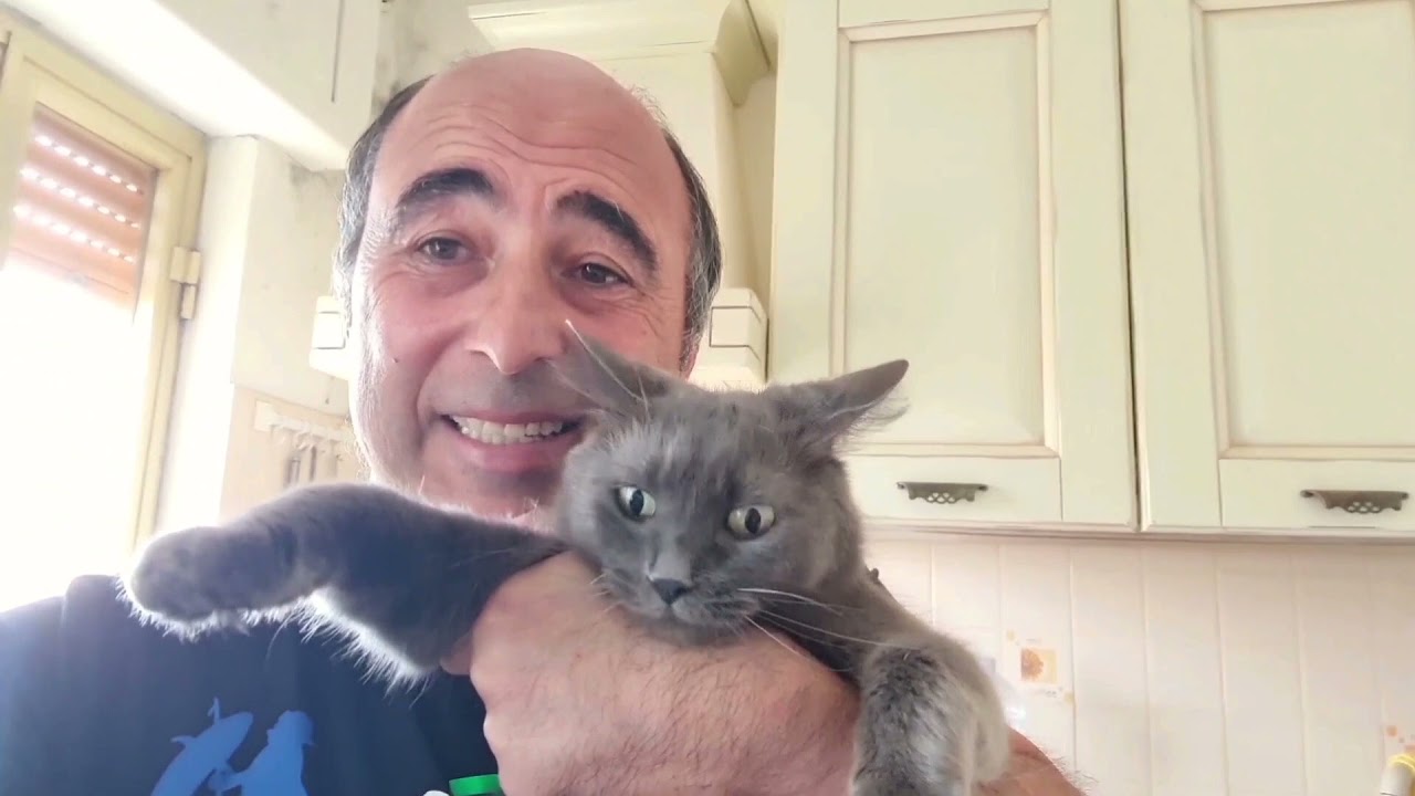 Pesca sub e si il pesce Balestra non è commestibile lasciateli a me e mia Moglie 🤣🤣🤣
