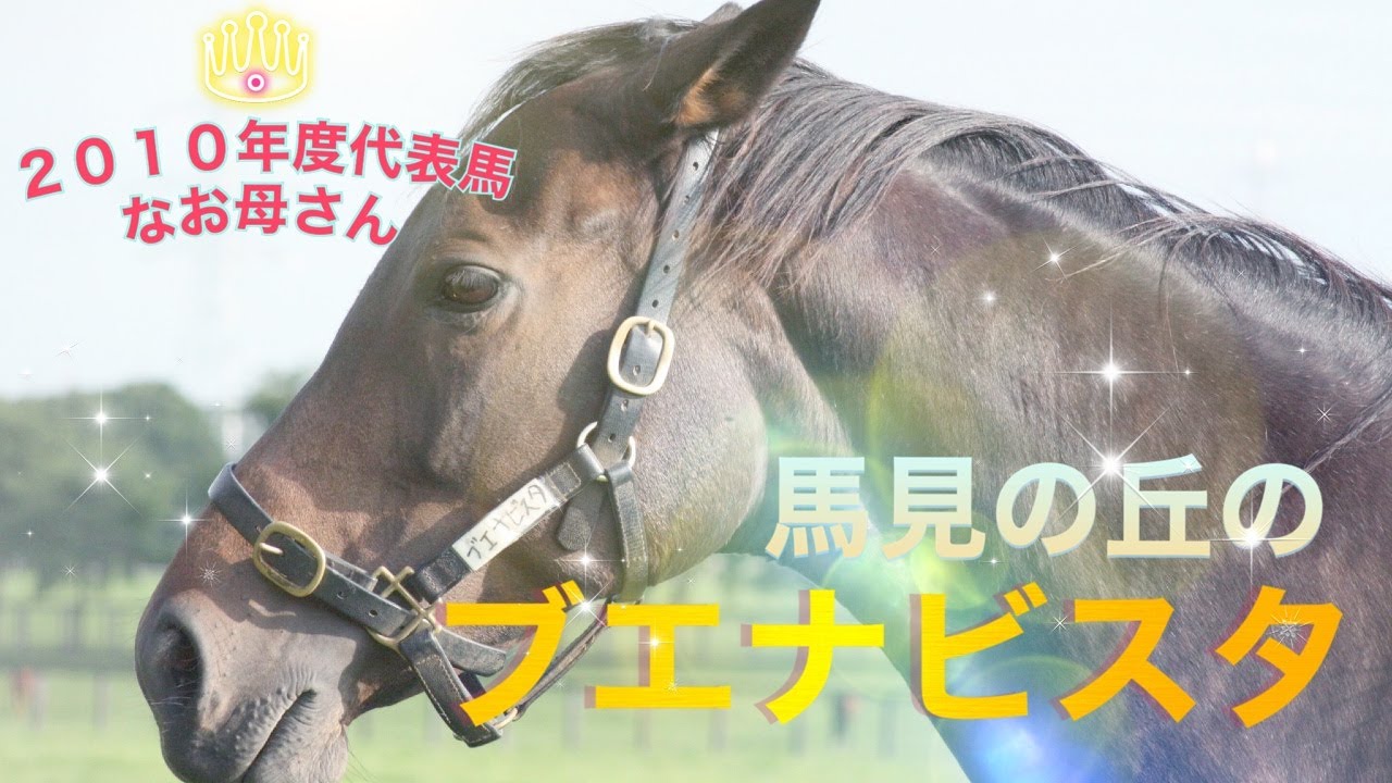 【馬見の丘のブエナビスタ 】ノーザンホースパーク撮影