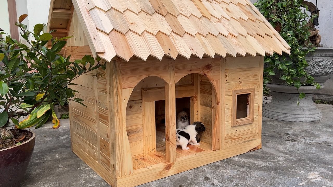 DIY Wood Pallets Ideas. A Step-by-Step Guide to Creating a Pallet Dog Villa for Your Beloved Pets