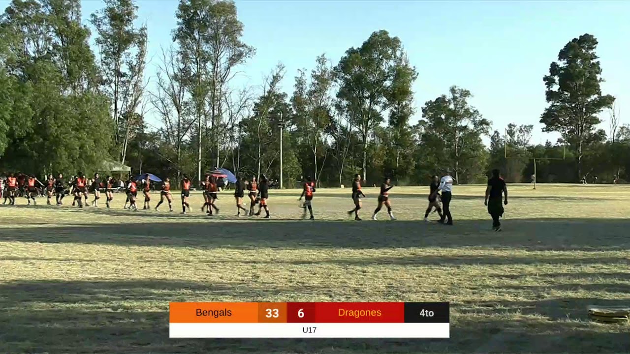 Bengals vs Dragones