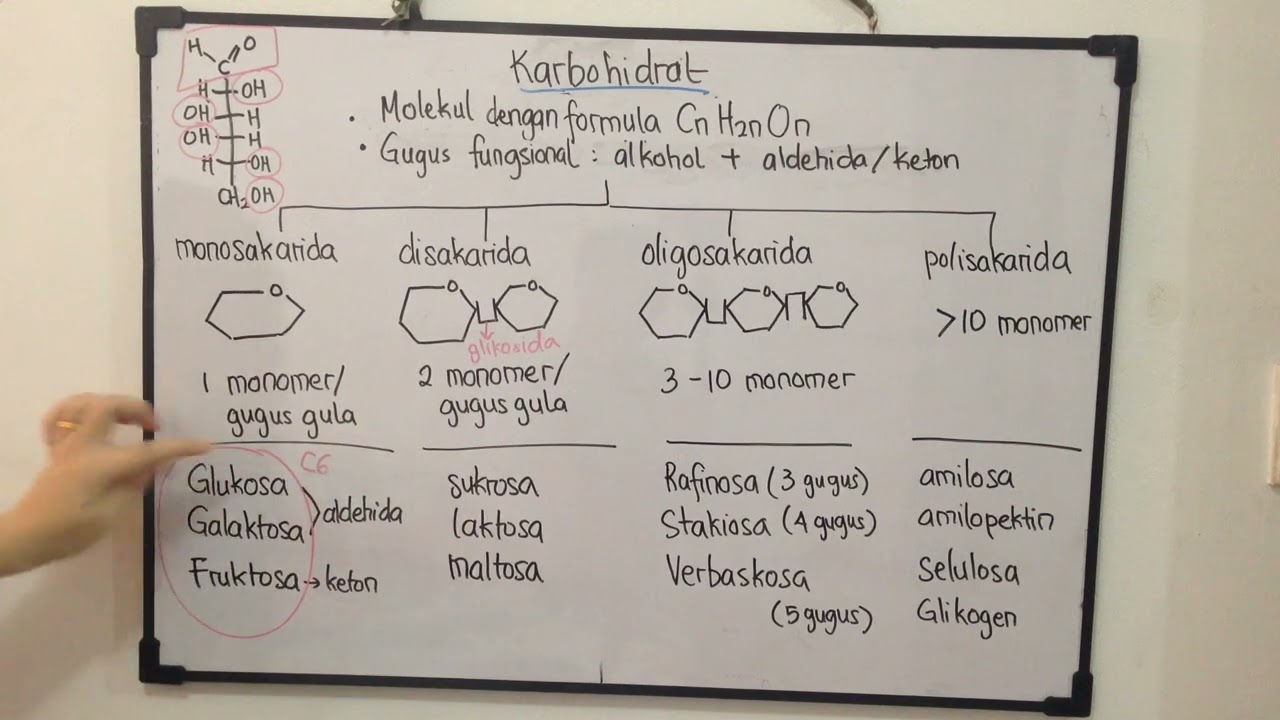 Klasifikasi Karbohidrat 1