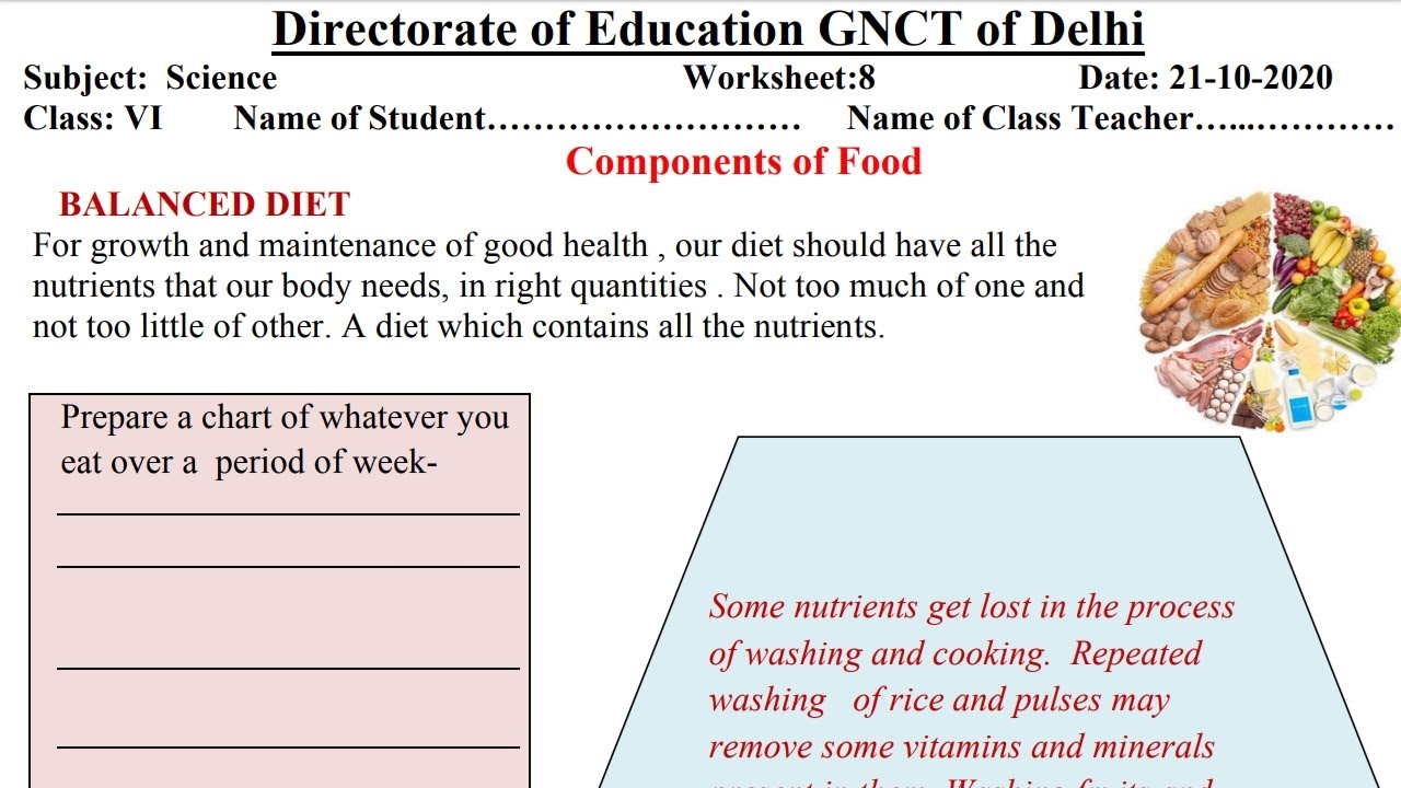 DOE DELHI WORKSHEET 8 CLASS 6( SCIENCE) ENGLISH MEDIUM WEDNESDAY 21 OCTOBER 2020