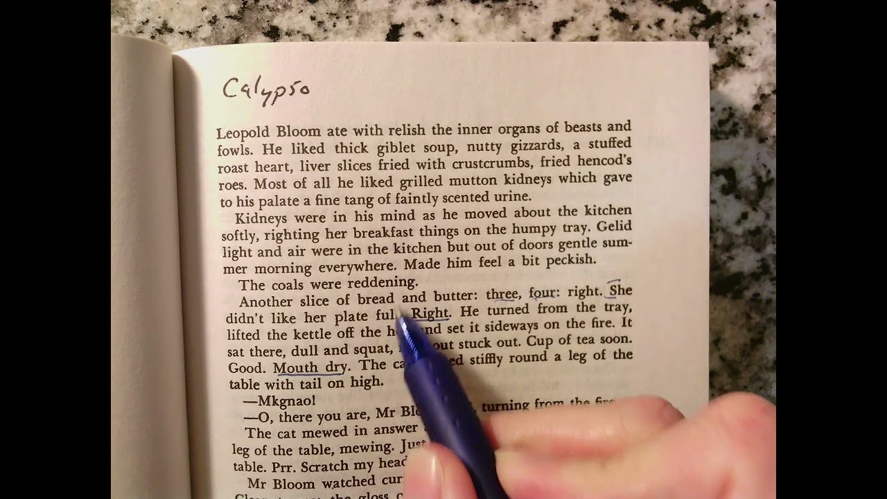 Stream of Consciousness: James Joyce's Ulysses