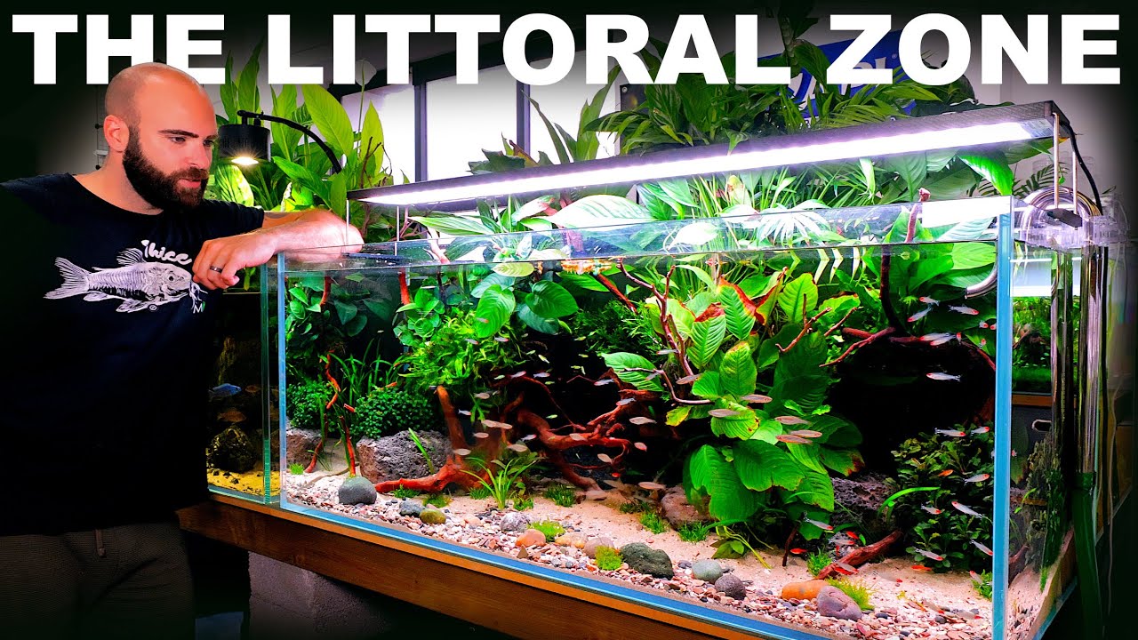 The Littoral Zone: EPIC Open Beach Community Aquarium (Aquascape Tutorial)