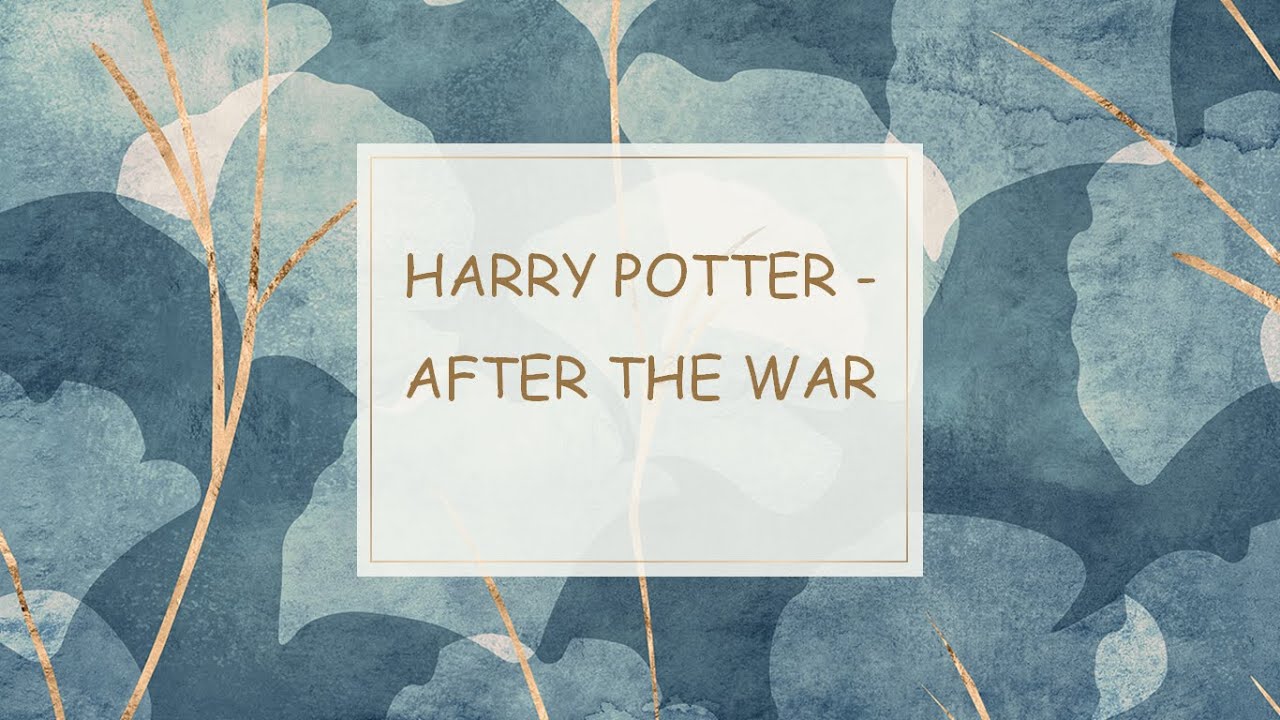 HARRY POTTER AFTER THE WAR | PART 2 | WHAT ABOUT WALBURGA? |