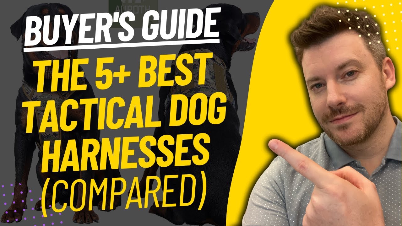 TOP 5 BEST TACTICAL DOG HARNESSES - Best Tactical Dog Harness Review (2023)