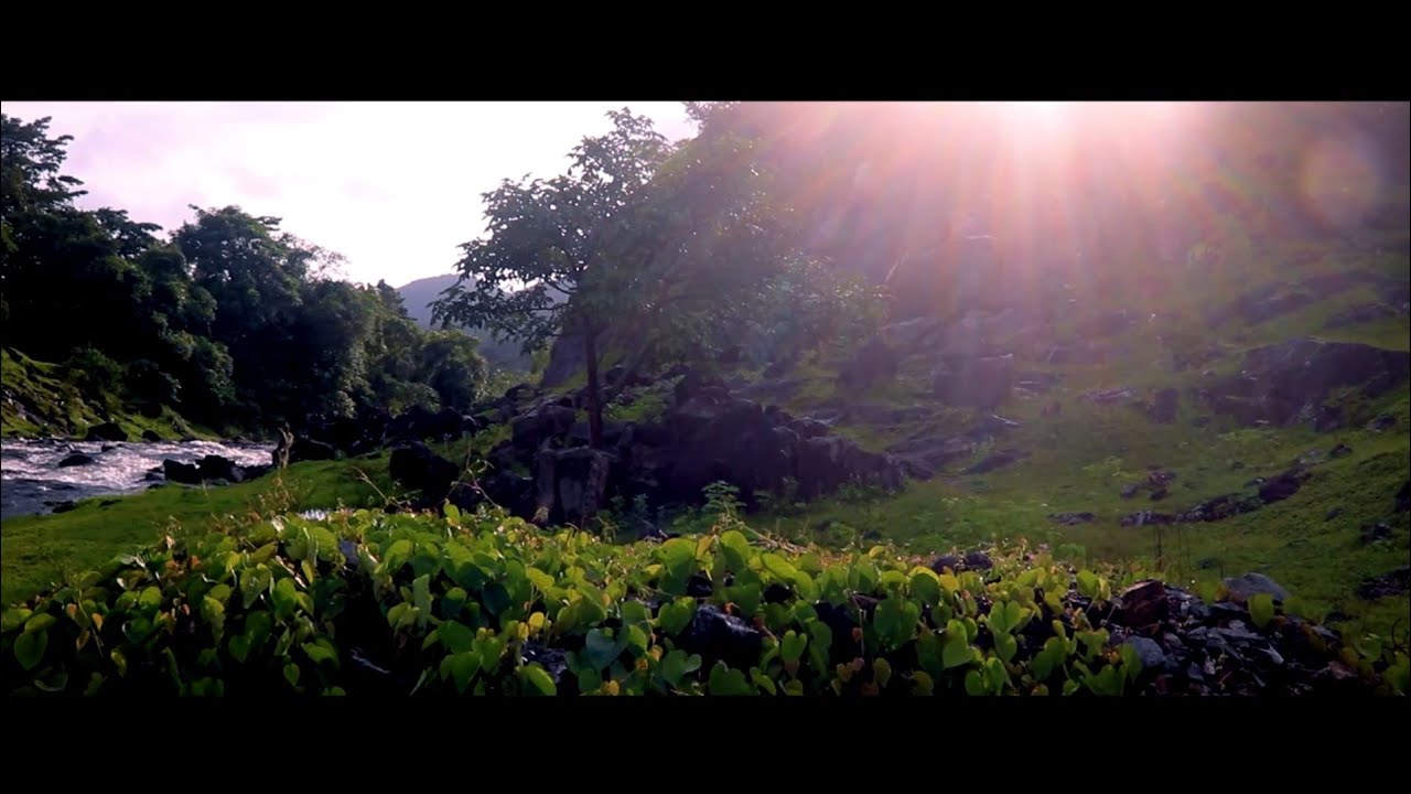 Chapoli Dam cinematic videos | Nearby View | Wonderful place to explore in Goa