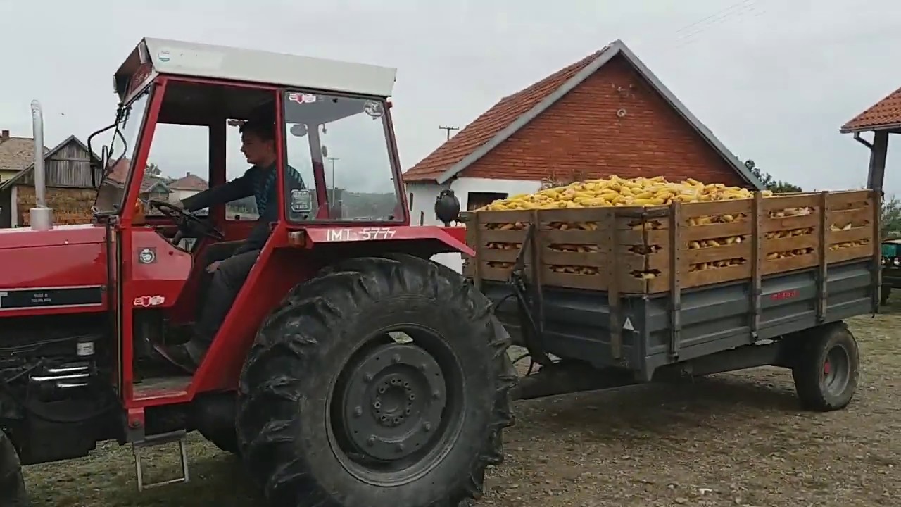 Vuča kukuruza sa IMT 577 DV i čišćenje berača Zmaja 216 posle završene berbe