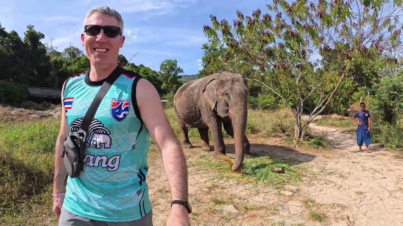 We Spend The Day With Elephants in Thailand | A Peaceful Day at an Elephant Sanctuary