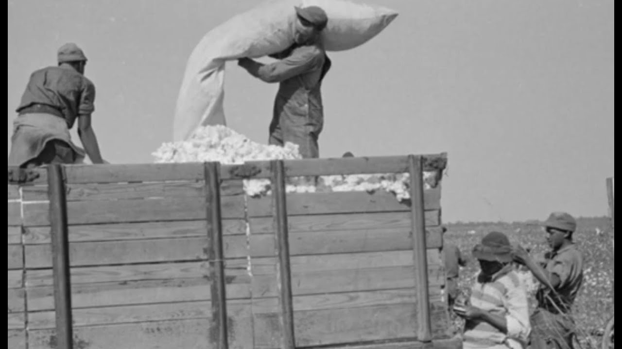 Describing His Life Cotton Picking in the Mississippi Delta | Documentary Clip