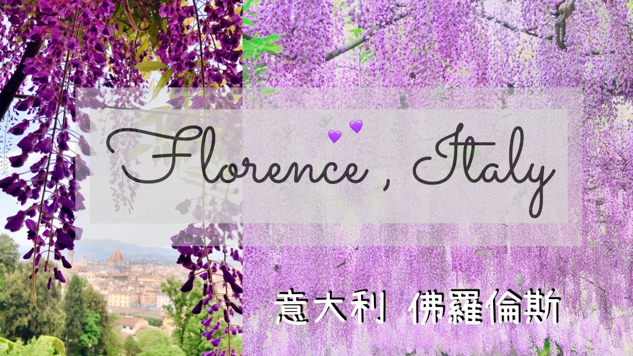 【意大利Vlog】佛羅倫斯 Florence Italy｜超夢幻的💜紫藤花隧道 ｜歐洲旅行Travel Vlog｜花的季節 ｜Firenze Italia｜By Scarlett To