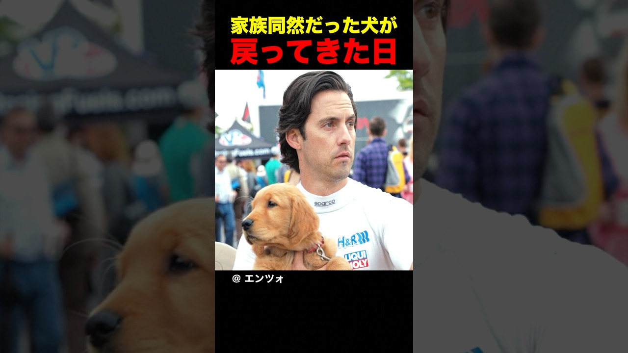 家族同然だった犬が戻ってきた日