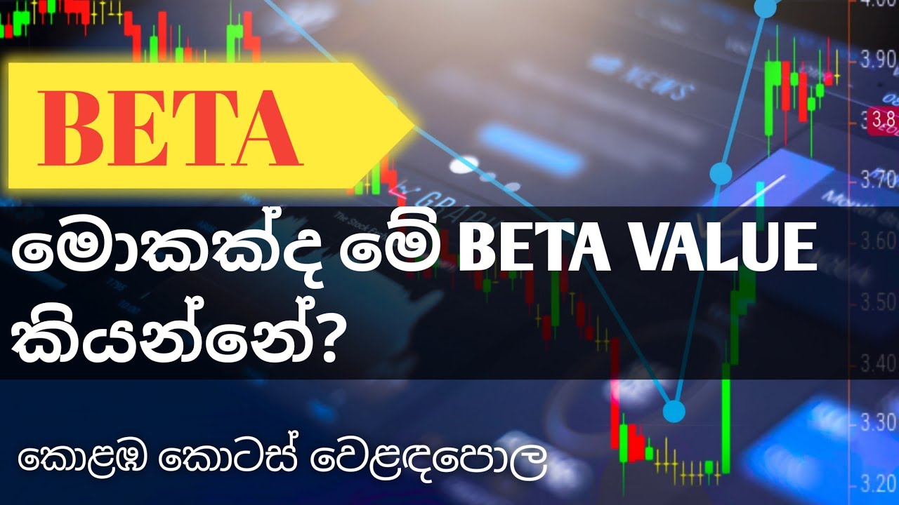 Beta Value of Share Sinhala (29)