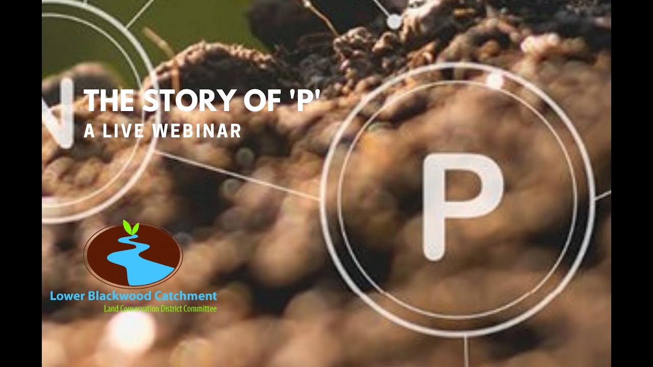The Story of 'P'