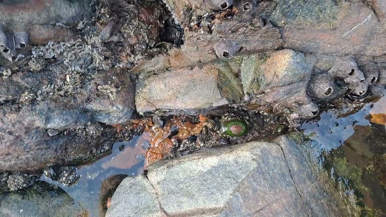 동네 한바퀴 #산책 